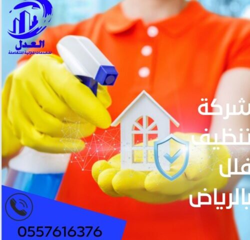 شركة تنظيف فلل بالرياض
